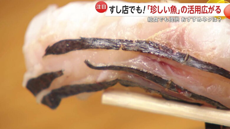 クロシビカマスのにぎり