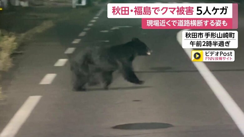 深夜の道路を住宅街に向かって横断するクマ④