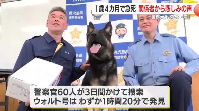 その後も活躍が続き期待されていたウォルト号