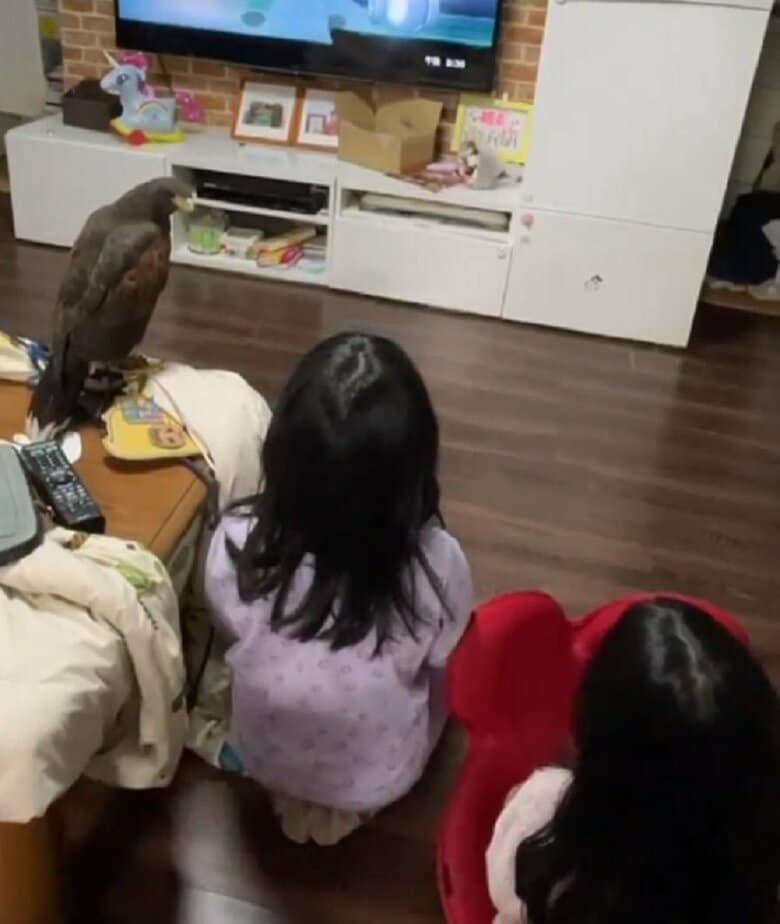 姉妹と一緒にテレビを見る様子