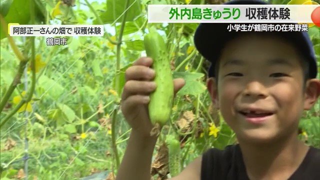 自然と笑顔がこぼれる収穫体験