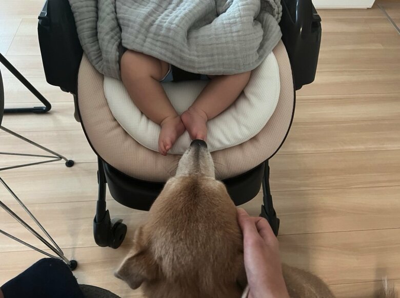 赤ちゃんの足をクンクン（提供：あさぎさん）