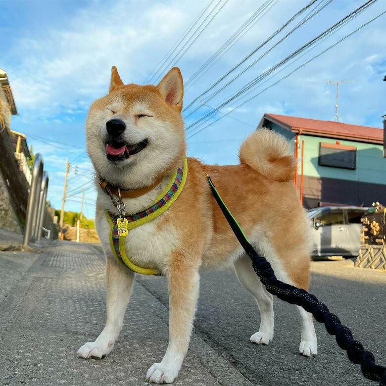 提供：橋本真実さん