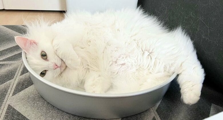 フィットして気持ちよさそう