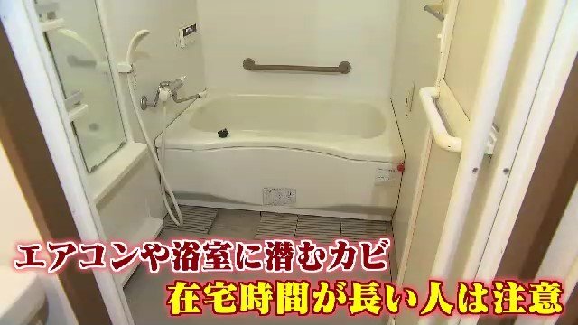 エアコンや浴室など湿気が多い場所に潜む