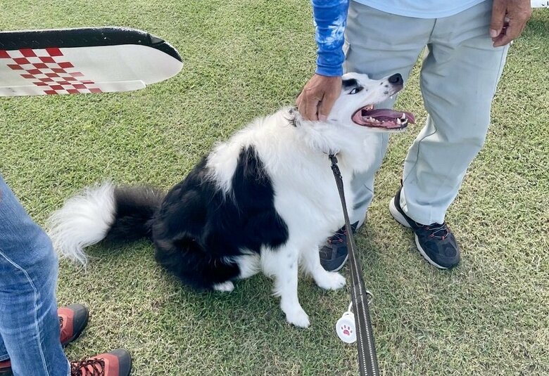 チヤホヤされているマロくん