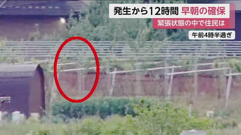 その後、男は警察に身柄を確保された（26日午前4時半すぎ）