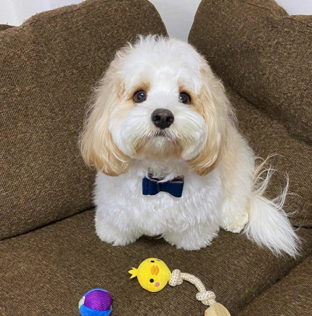 提供：宮原幸恵さん