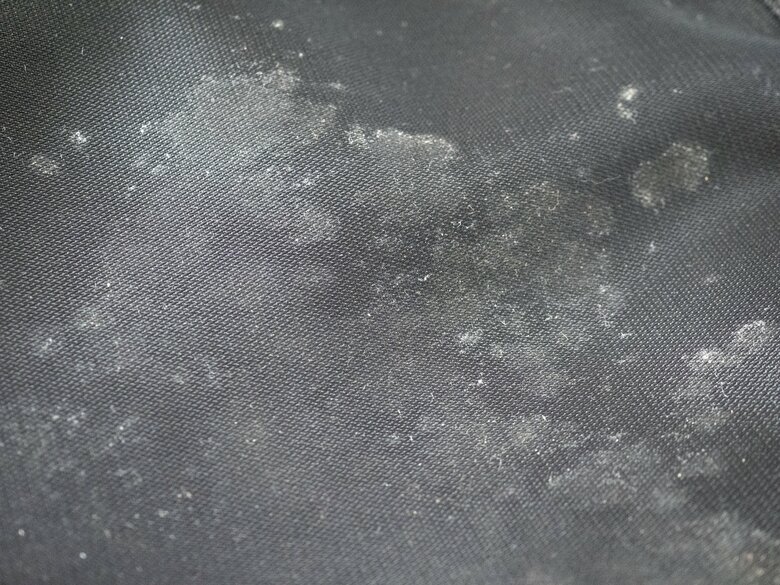 久しぶりに見たらカビが…（画像はイメージ）