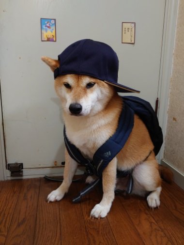 服を着て写真撮影もばっちり