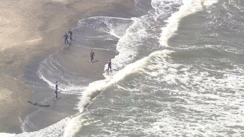 現場では、サーファーらがイルカを海に戻そうとする様子が見られた。