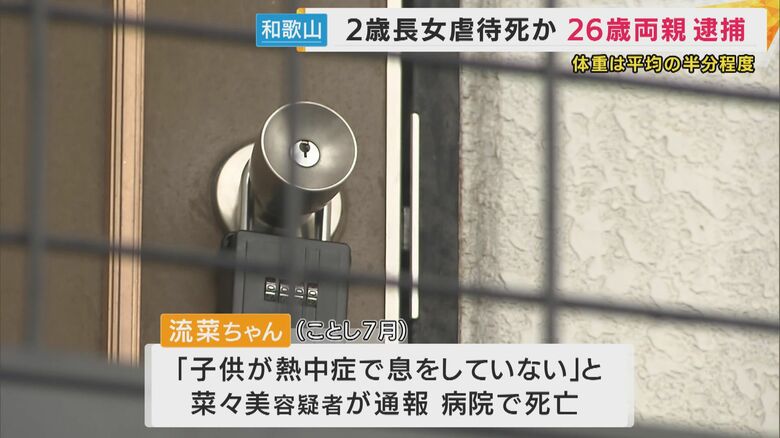 けがについて「1～2週間前にジャングルジムから落ちた」と説明も