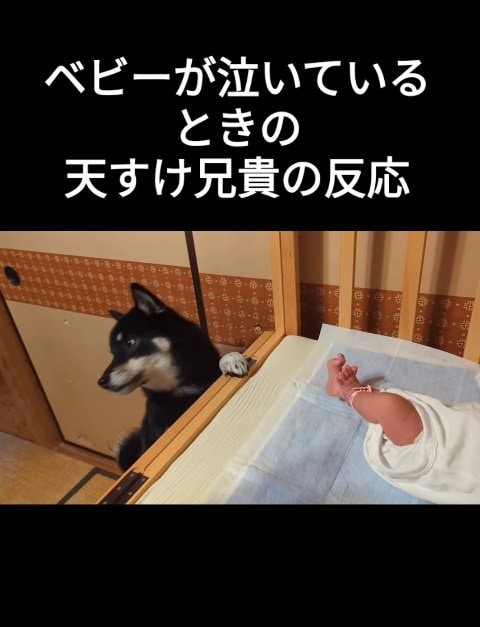 「誰か来て！」と言いたげな視線…