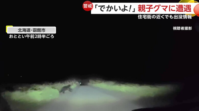 暗闇から飛び出してきたのは体長2mほどのクマ（16日午前2時半頃、北海道・函館市）