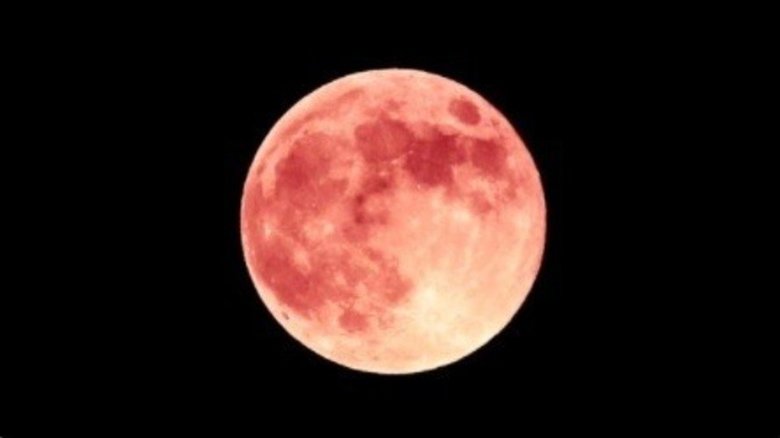 ポーランド戦の夜空にハム?