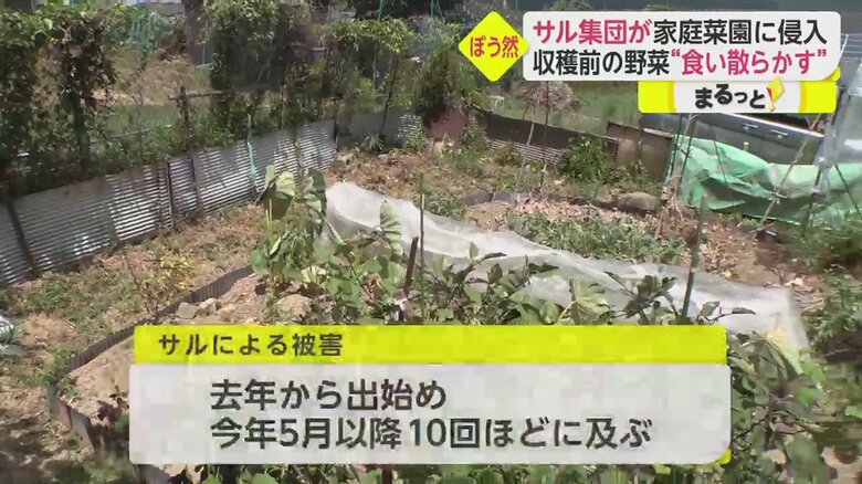 「イット！」8月16日放送分より