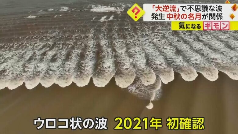 魚のウロコ状の波は、2021年に初めて確認された