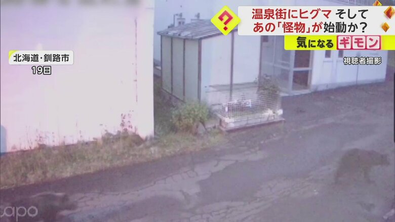 クマは２頭いた