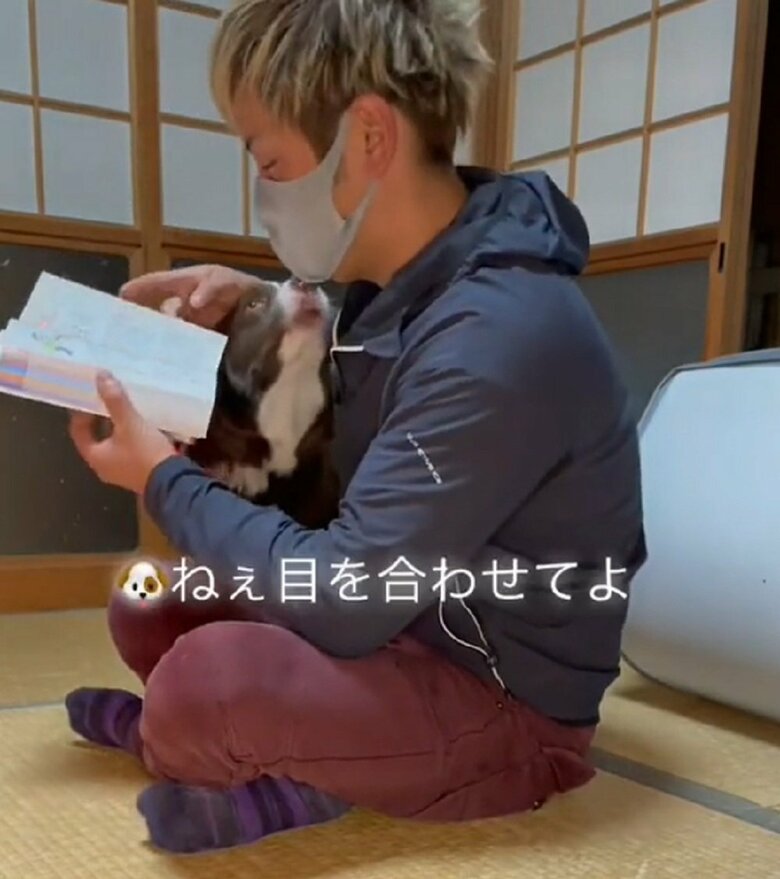 目を合わせてよ　とのぞき込む