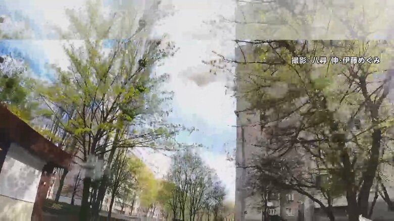 日本人写真家が捉えたマンションにミサイル着弾する瞬間12