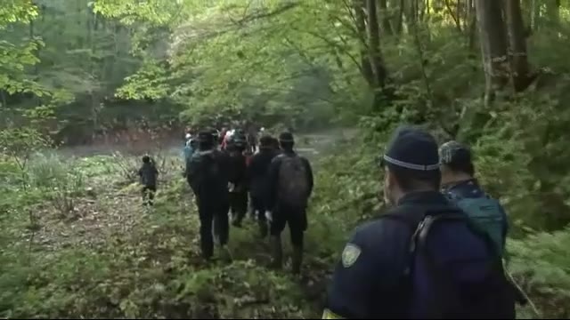 キノコ採りの男性が無事保護 大崎市鳴子温泉〈宮城〉