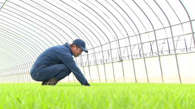 川添さんの農業用ハウス