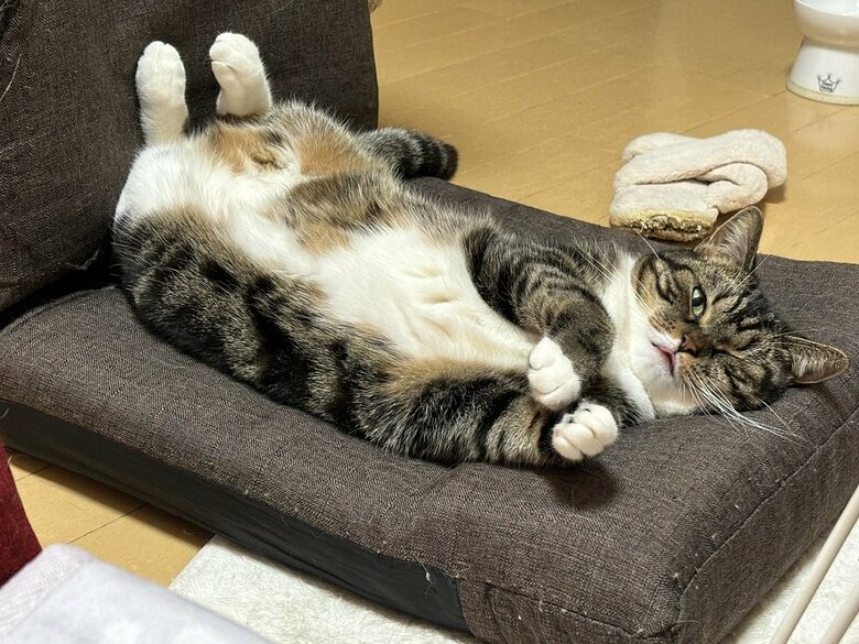 まったり中