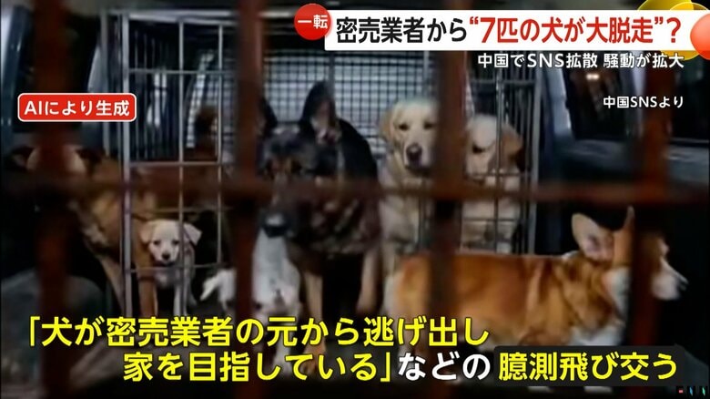 「犬が密売業者の元から逃げ出し家を目指している」など憶測が飛び交うことになったネット上