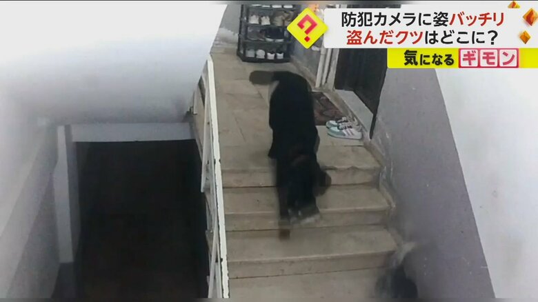 階段を降りる黒いイヌ（IHA）