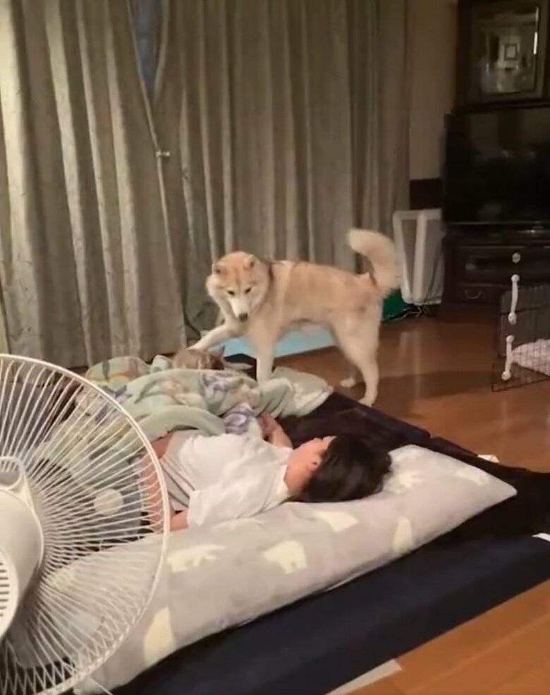 提供：ココとイチのままちゃん