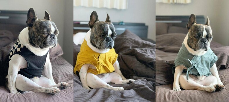 提供：丸男さん