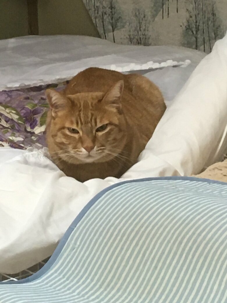 まったりしたりもする