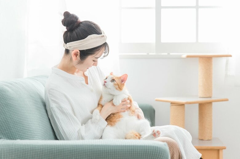 （画像はイメージ）