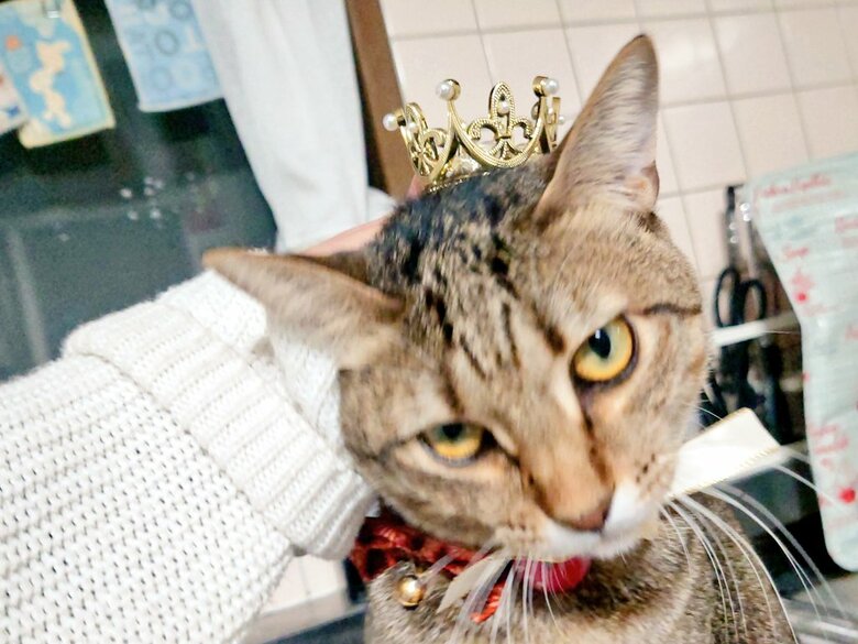 不満そうなご様子