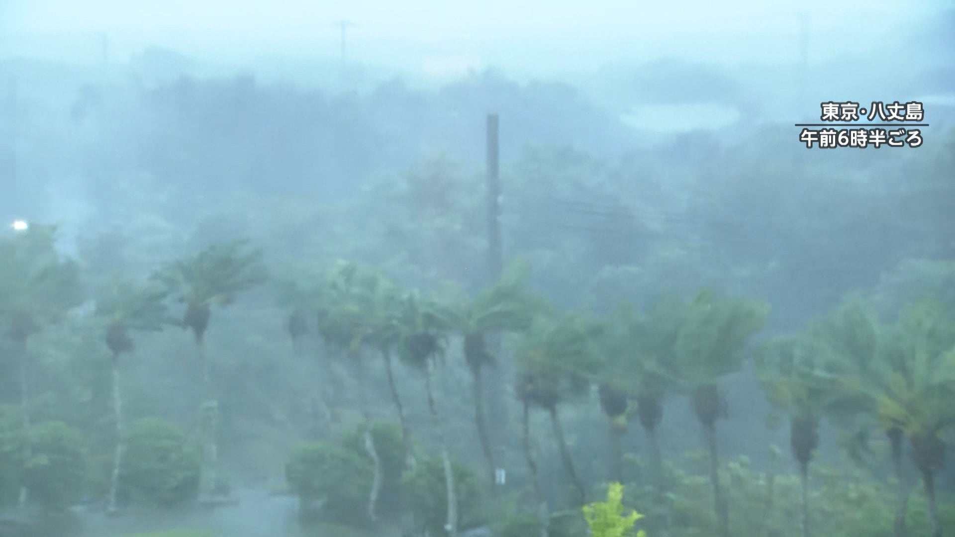 台風22・23号相次ぎ接近した八丈島で断水・停電続く　一連の台風で倒木などの被害も