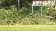 「異変に気づいた保護者の声かけがなかったら…」小学生のサッカー試合中に倒木　観戦していた幼児や保護者など女性7人ケガ