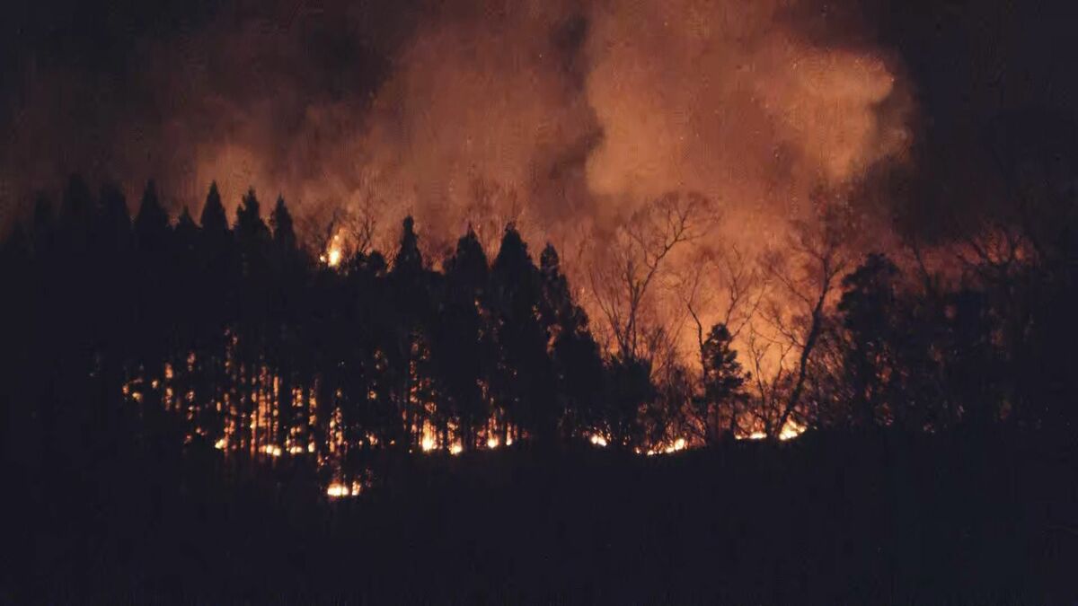 【大船渡市】山林火災 少なくとも84棟の建物が焼ける ニューうえいぶらぼ