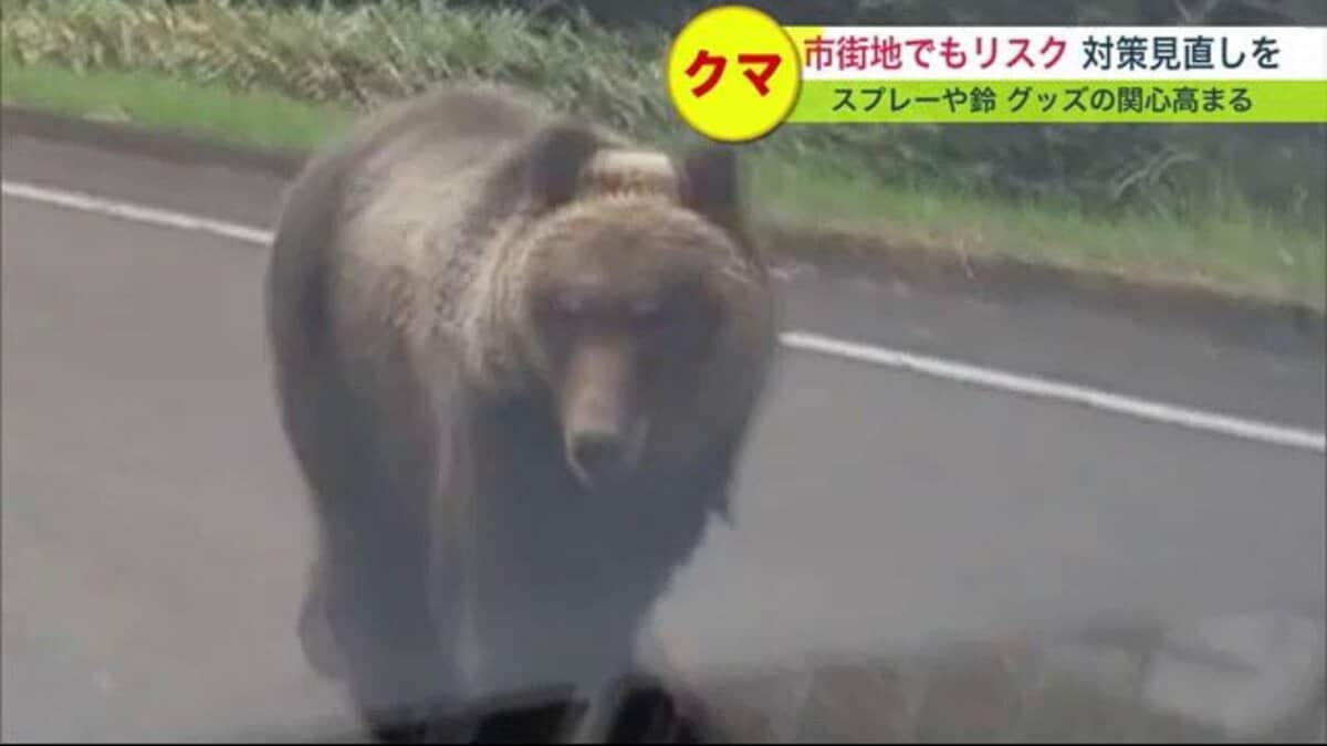 ヒグマの出没が過去最多に…市街地でも繰り返し目撃 「クマよけグッズ」に関心高まる 【北海道発】｜FNNプライムオンライン