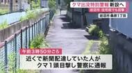 岩沼市の住宅街で未明に体長１メートルのクマ１頭を目撃　宮城県は「クマ出没特別警報」新設へ