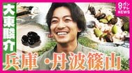 移住者急増！兵庫・丹波篠山　「まるでジブリの世界」築250年の一日一組限定宿　1週間ごとに変化「幻の黒枝豆」と黒豆グルメに大東さん感動【大東駿介の発見！てくてく学】