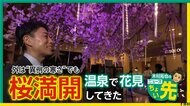東京都心5.1度…38年ぶりの寒さ　AIが選んだ関連は花見と温泉旅行が一緒に楽しめるさいたま市の温浴施設　「ニュースちょい先」