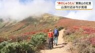 山頂を彩る「神のじゅうたん」栗駒山で紅葉が見頃に　赤や黄色に染まる絶景に登山客が感動〈宮城〉