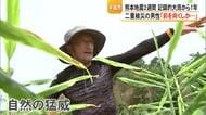 記録的大雨から１年、熊本地震2週間、宇城市で二重被災と農家を襲う猛暑【令和８年熊本地震】