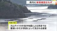 青森県東方沖地震で宮城県内の被害確認されず　最大９３人が一時避難　後発地震注意情報で警戒続く