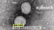 新型コロナ 新たに2人感染 7日連続で5人下回る 大分県