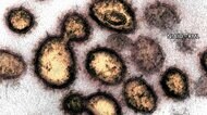 新型コロナ 東京都で新たに40人の感染確認