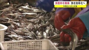 ハタハタ漁獲枠を撤廃!水揚げ日数で資源管理へ 秋田