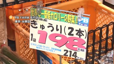 「キュウリ価格が3倍に」夏野菜が軒並み価格高騰 原因は長雨・豪雨…高値はいつまで続く?