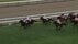 【豪華メンバー集結　札幌記念・G２】　10年目・横山武史騎手　相性抜…