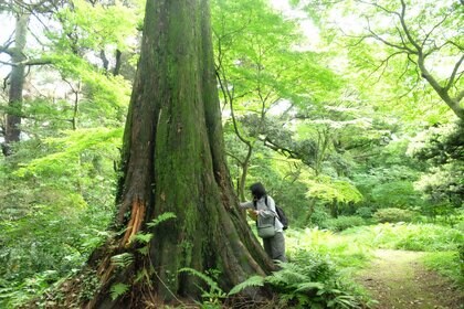 【国立科学博物館】皇居で見つかった生物が累計7,982種に達する～皇居生物相調査（第III期）成果公表～